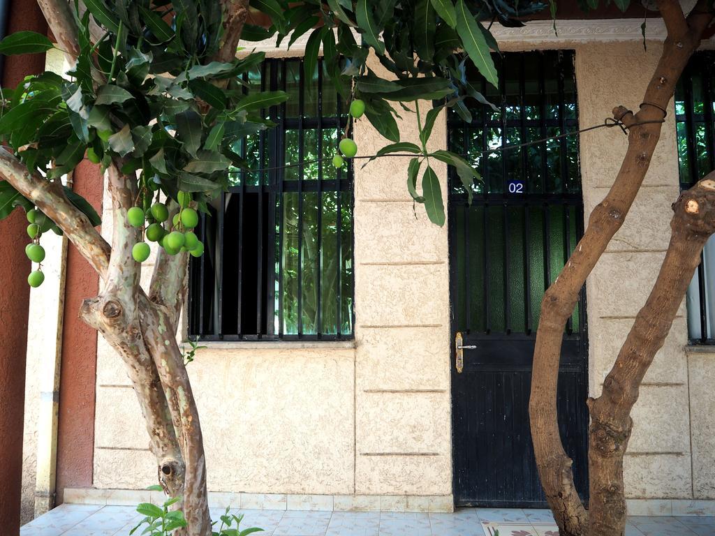 Manuhie Backpackers Lodge Бахр-Дар Номер фото