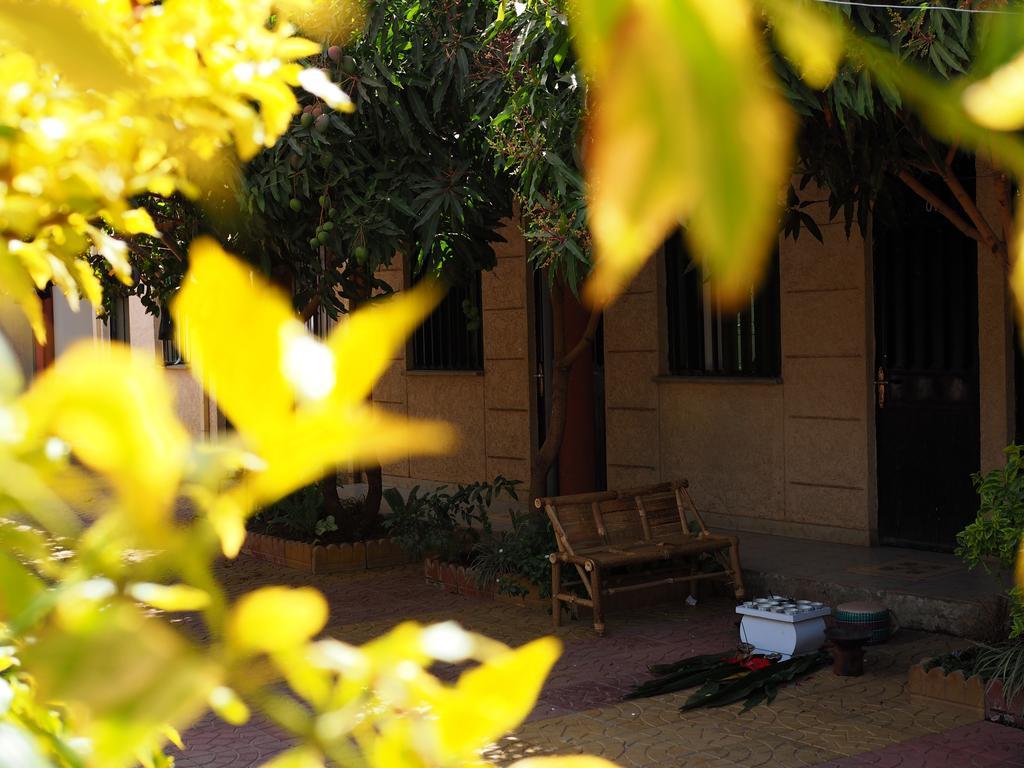Manuhie Backpackers Lodge Бахр-Дар Номер фото