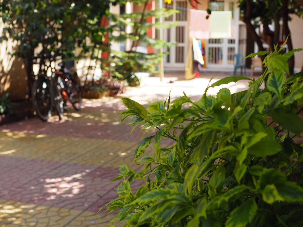Manuhie Backpackers Lodge Бахр-Дар Номер фото